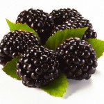 blackberries