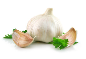 Garlic Vegetable with Green Parsley Leaves Isolated on White