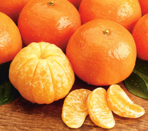 mandarin-orange-nutrition-561539561539