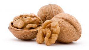 dry walnut fruit studio isolated closeup