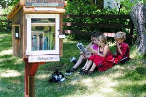 Little-Free-Library14
